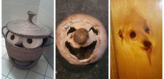 30 снимков, которые сотрут грань между реальностью и игрой воображения (31 фото)