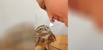 Feathered lover of affection and kisses