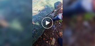 Кладоискателям улыбнулась удача