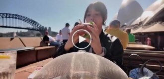 Девушка показала, зачем в кафе используют сетчатые крышки для еды