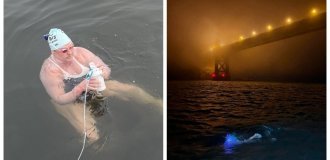 Woman completes 17-hour swim in shark-infested waters (10 photos + 1 video)