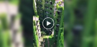 Зеленый апокалипсис в китайском городе Гуанъао