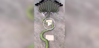 Залипательное видео