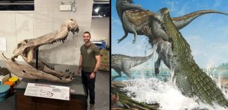 Дейнозух: Пожиратель динозавров. Самый страшный крокодил в истории Земли (12 фото)