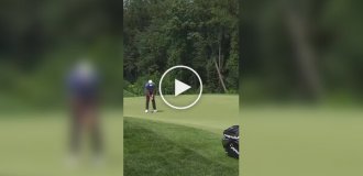 A fly helped a golfer get into a hole