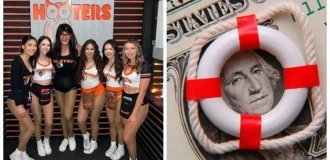 Спасибо курсу на толерантность: компания Hooters объявила о своём банкротстве (5 фото)