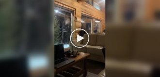 A guy rented a house in the Canadian forest and here's what happened