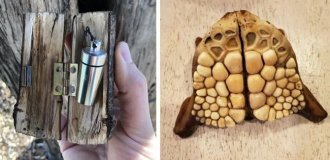 35 times when the Internet helped people identify their unusual finds (36 photos)