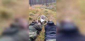 Подборка моментов, когда дикие животные подошли к фотографам слишком близко