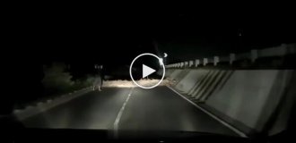 Умение ездить задним ходом может спасти жизнь