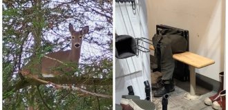 20 примеров обычной реальности, трансформирующейся в иллюзию (21 фото)