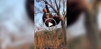 Читання вранці заспокоює