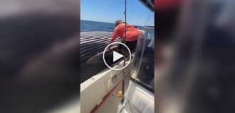 Рыбаки забрались на тушу кита