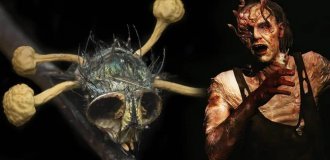 Nature invented zombies before Hollywood: 6 parasites that turn animals into living creatures Puppets (11 photos)