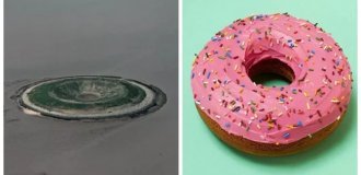 A failed engineering project that turned into an abandoned "donut" (6 photos + 1 video)