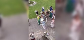 Ребенок поймал букет невесты на свадьбе