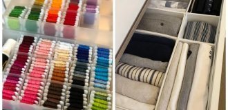 12 images for perfectionists that will bring positive emotions (13 photos)