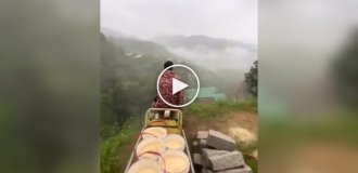 A man quit his job at the bank and went to the village to raise chickens