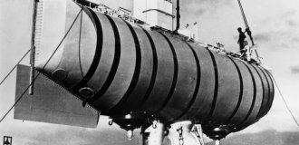 Самый глубоководный многоклеточный организм на Земле (3 фото)