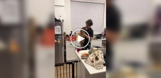 Кот до последнего защищал украденную курицу