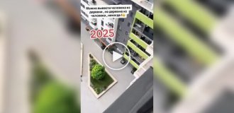 В одном из ЖК девушка завела курятник прямо у себя на балконе