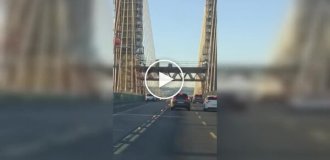 В Севилье с моста упала переносная туалетная кабина