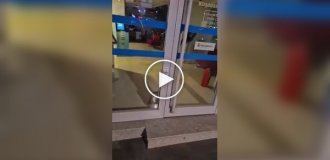 В Турции полиция прибыла на «ограбление банка» — но вместо преступников обнаружила кота