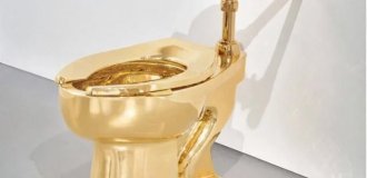 Это - золотой унитаз за 10 миллионов долларов