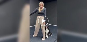 Собака идеально влилась в танец своей хозяйки