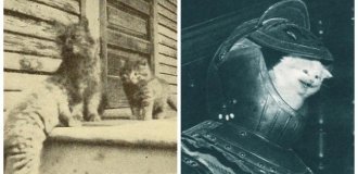 20 Adorable Vintage Photos of Cats That Prove People Have Always Adored Furry Pets (21 photos)