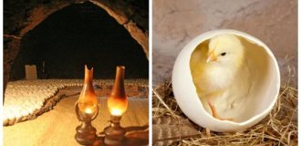 Секреты древнеегипетских птицеводов (7 фото)