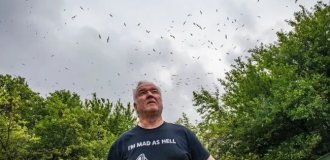 Like in a Hitchcock horror film: the British are scared by the invasion of seagulls that filled the landfill (5 photos)