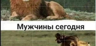 Лучшие шутки и мемы из Сети. Выпуск 725 (159 картинок)