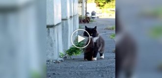 Когда добыча большая, а доверия к окружающим нет