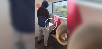 Новозеландский музыкальный туалет
