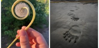 20 невероятных находок, которые стали результатом чистой случайности (21 фото)