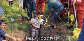 Китаянка упала в старый колодец со змеями и провисела там, держась за стену, прежде чем ее спасли