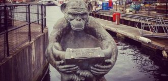 История одного памятника, или Как англичане казнили за шпионаж обезьяну (5 фото)