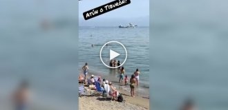 На пляже Марбельи мужчина решил, что на него напала акула