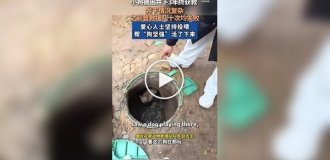 В Китае спасли собаку, которая несколько лет жила под землей