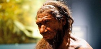 The oldest human viruses were found in the remains of Neanderthals (3 photos)