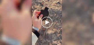 Пистолет «Унция»: Самый компактный складной калибр 22LR