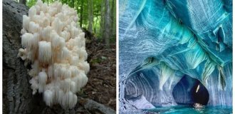 20 фотографий, которые вернут вам веру в чудо (21 фото)