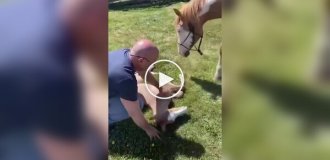 Helping a newborn foal