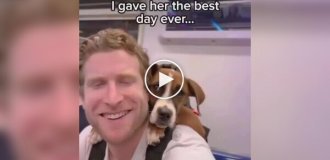 Блогер придумал необычный способ помогать бездомным собакам находить хозяев