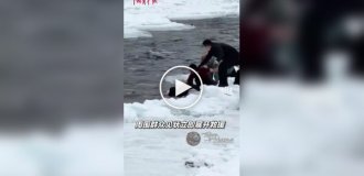 Rescuing Chinese tourists from the icy waters of a mountain river