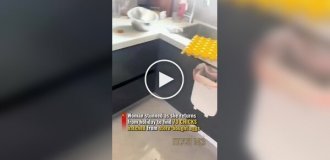 Яйца на завтрак тоже бывают с подвохом: жительница Китая купила три десятка яиц, а получила цыплят
