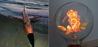 30 редких вещей, которые люди случайно нашли и остались в полном восторге (32 фото)