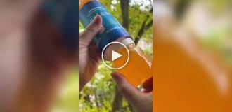 A hiding place for small valuables