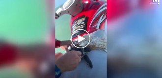 Мужчина спас черепаху, запутавшуюся в пластике